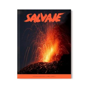 Revista salvaje 12