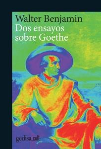 Dos ensayos sobre goethe