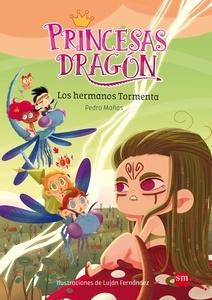 Princesas dragón: los hermanos tormenta