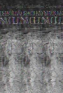 La sabiduría de la jungla