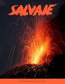 Revista salvaje 10